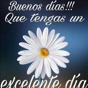 Meet your Posher, Itzel